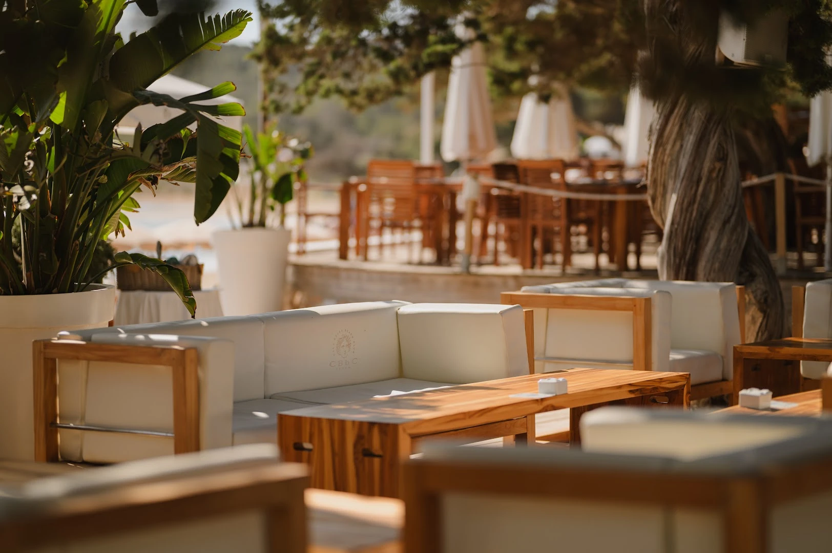 Sunbeds and turquoise water at Cala Bassa Beach Club on Ibiza's west coast