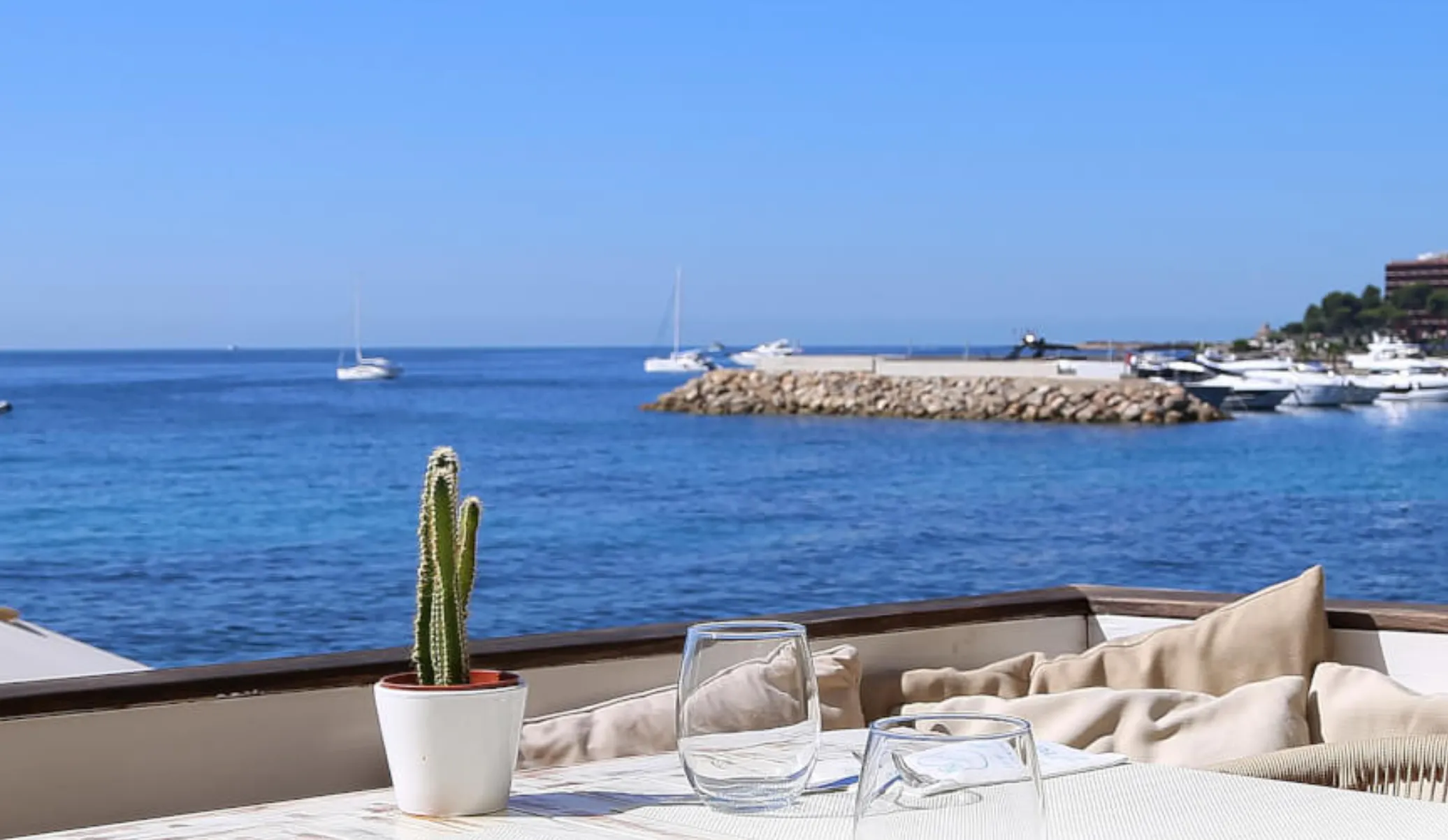 Poolside sunbeds and Mediterranean views at Zhero Beach Club in Cala Mayor